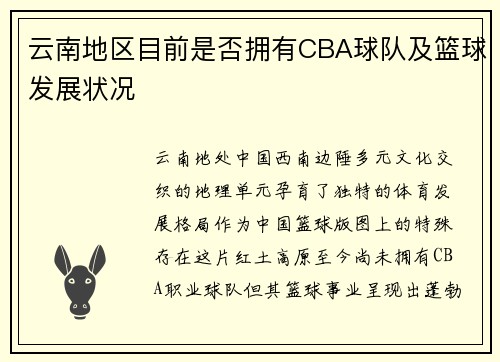 云南地区目前是否拥有CBA球队及篮球发展状况